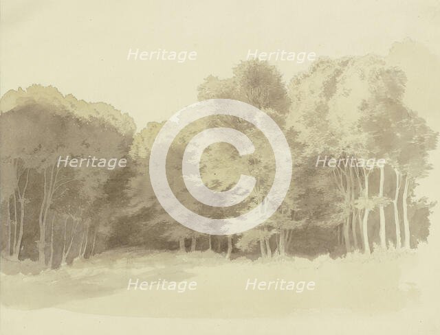 Edge of a wood, c1853. Creator: Carl Theodor Reiffenstein.