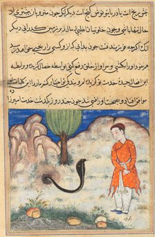 Page from Tales of a Parrot (Tuti-nama): Thirty-seventh night: The prince..., c. 1560. Creator: Unknown.