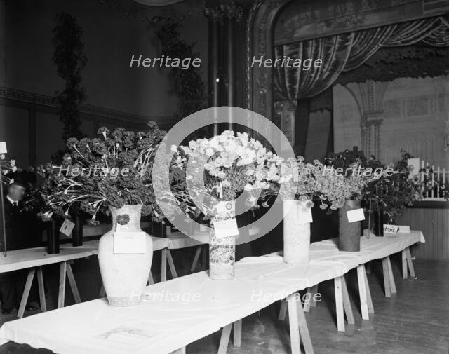 Exhibits, American Carnation Society Exhibition, Detroit, Mich., between 1900 and 1905. Creator: Unknown.