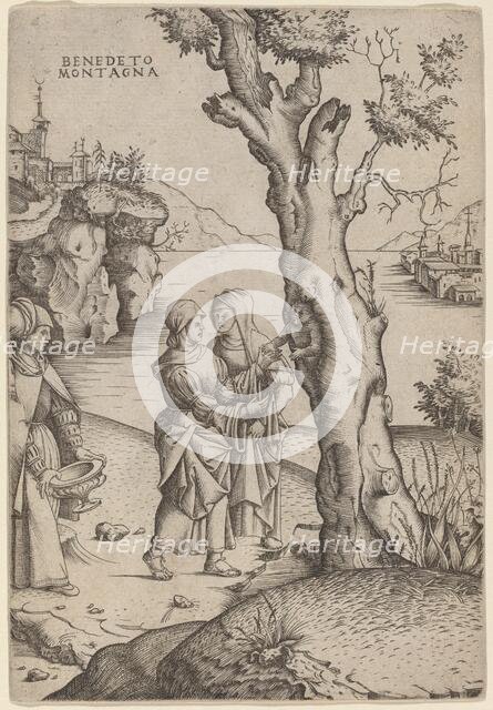 Birth of Adonis, c. 1515/1520. Creator: Benedetto Montagna.