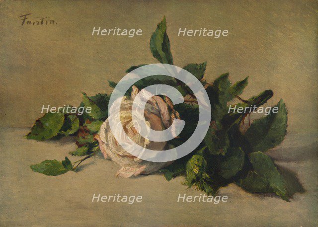 'White Rose', c1863, (1938). Artist: Henri Fantin-Latour.