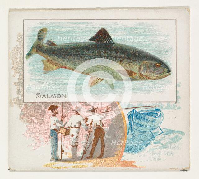 Salmon, from Fish from American Waters series (N39) for Allen & Ginter Cigarettes, 1889. Creator: Allen & Ginter.