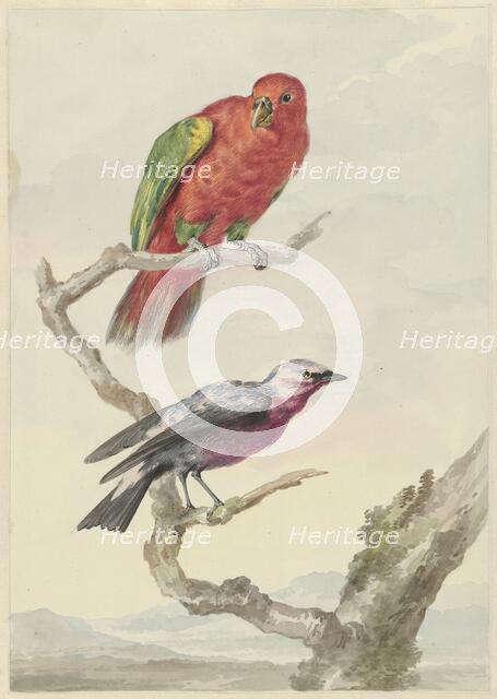 Two birds, including a red-green parrot, 1720-1792. Creator: Aert Schouman.