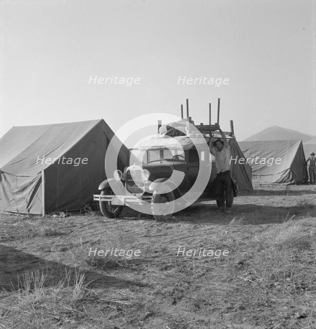 Migratory family, come to Klamath Basin for potato harvest..., Merrill, Klamath County, Oregon, 1939 Creator: Dorothea Lange.