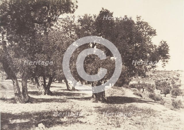 Jérusalem, Champ du sang, 1854. Creator: Auguste Salzmann.