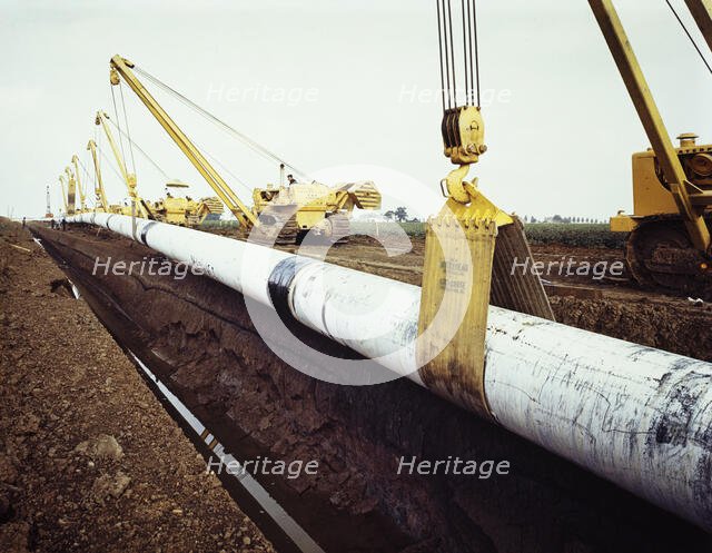 A row of Caterpillar 583 pipelayers with side booms, lifting the Fens gas pipeline, Norfolk, 08/1967 Creator: John Laing plc.