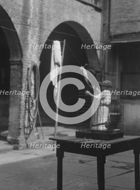 Woman working in a courtyard, New Orleans, between 1920 and 1926. Creator: Arnold Genthe.