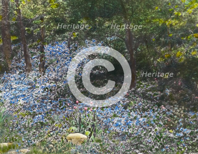 Herbert Livingston Satterlee house, Great Head, Bar Harbor, Maine, 1924. Creator: Frances Benjamin Johnston.