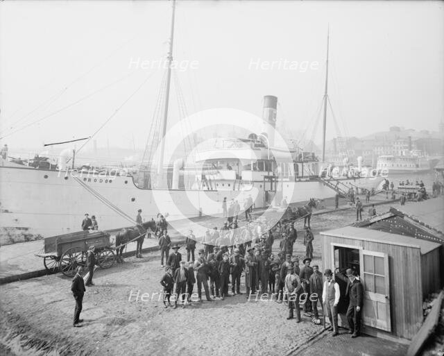Pay day for the stevedores, Baltimore, Md., c1905. Creator: Unknown.