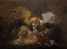 Lion And A Leopard, 1820. Creator: Samuel Howitt.