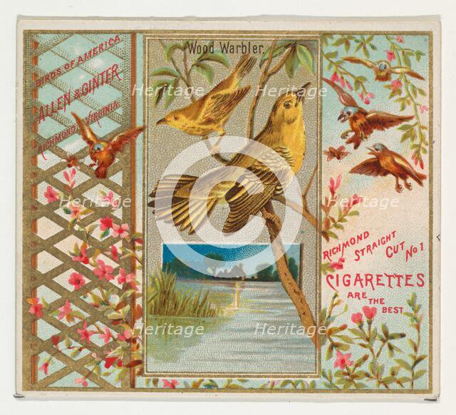 Wood Warbler, from the Birds of America series (N37) for Allen & Ginter Cigarettes, 1888. Creator: Allen & Ginter.