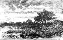 Opening Day by Keeley Halswelle:...Institute of Painters in Oil Colours, 1883. Creator: Unknown.