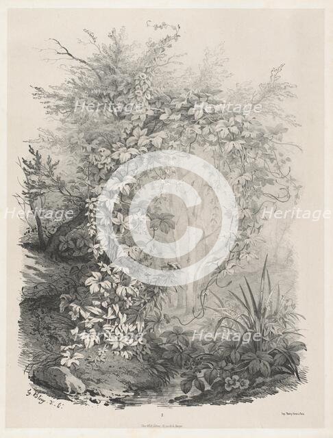 Plants and Ivies by a Stream, 1848/1849. Creator: Eugene Blery.