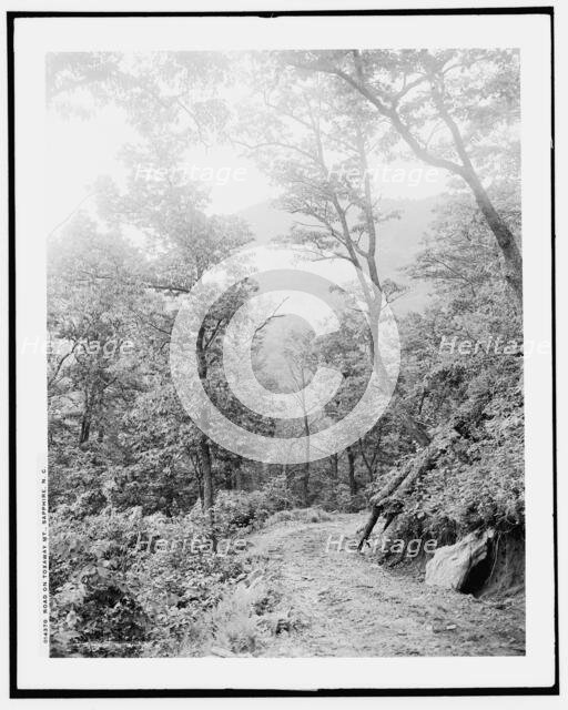 Road on Toxaway Mt., Sapphire, N.C., (1902?). Creator: William H. Jackson.