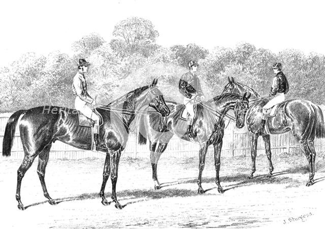 Kisber (Winner of the Derby); Enguerrande and Camelia (Runners of the Dead-Heat for the Oaks), 1876. Creator: Unknown.