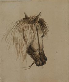 Head of a Horse, mid 19th century. Creator: Alfred Jacob Miller.