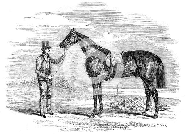 Foigh-a-Ballagh, the winner of the Great St. Leger..., 1844. Creator: Unknown.