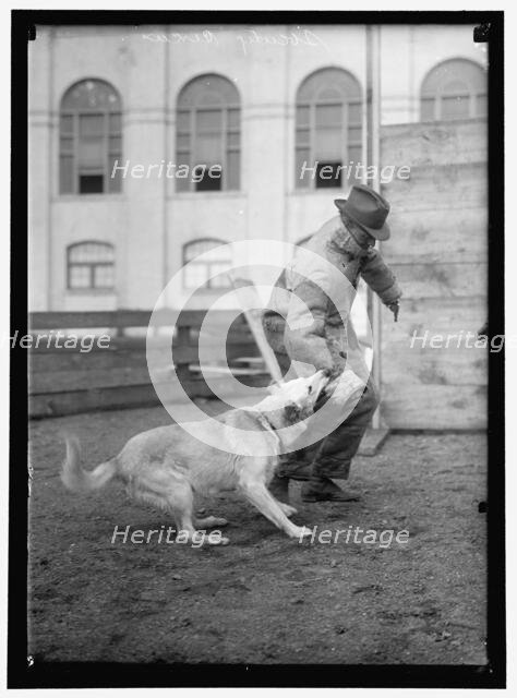Society Circus, between 1909 and 1923. Creator: Harris & Ewing.
