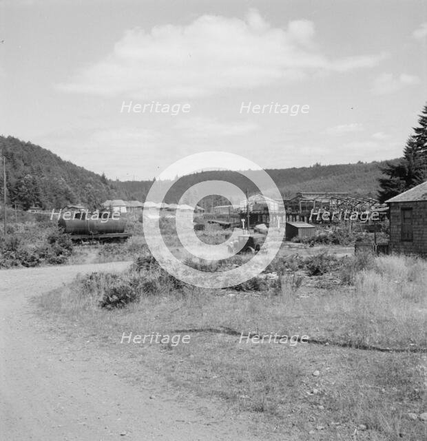 Possibly: Company houses of closed mill..., Malone, Grays Harbor County, Western Washington, 1939. Creator: Dorothea Lange.