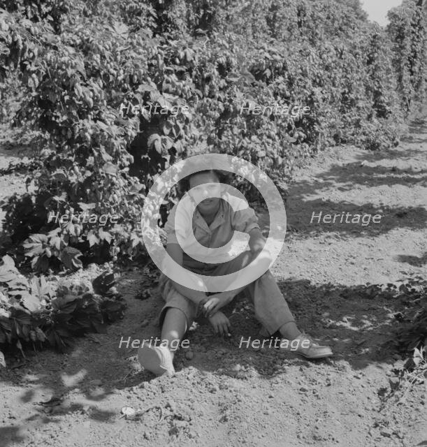Possibly: Wife of an ex-logger, now a migrat..., Independence (vicinity), Polk County, Oregon, 1939. Creator: Dorothea Lange.