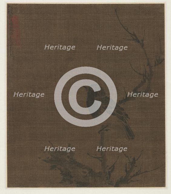 Sleeping Bird on a Prunus Branch, 1400s. Creator: Bian Wenjin (Chinese, about 1354-1428).