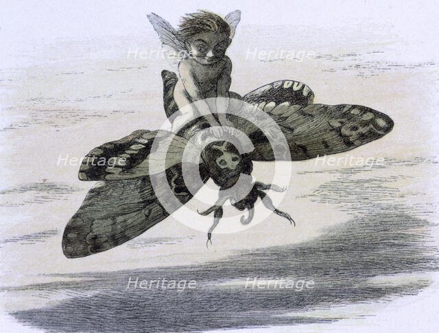 'Water lilies and water fairies of the period', c1869-c1870. Creator: Richard Doyle.