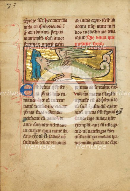 A Sawfish, 1277 or after. Creator: Unknown.