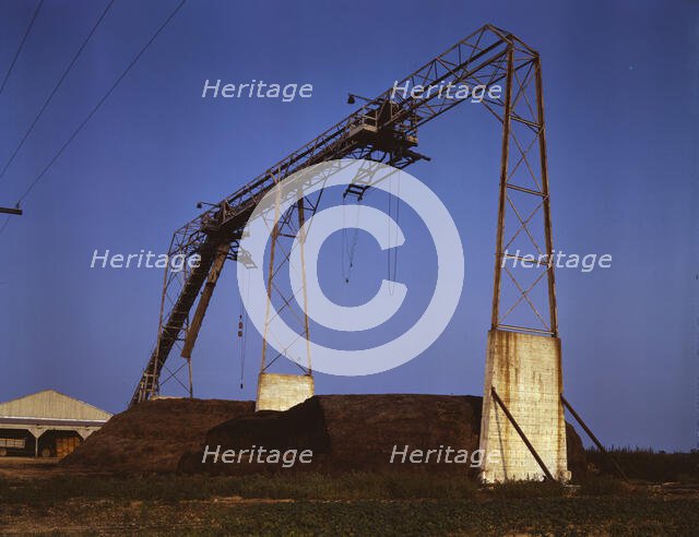 Part of string bean factory and field system, Seabrook Farm, Bridgeton, N.J., 1942. Creator: John Collier.