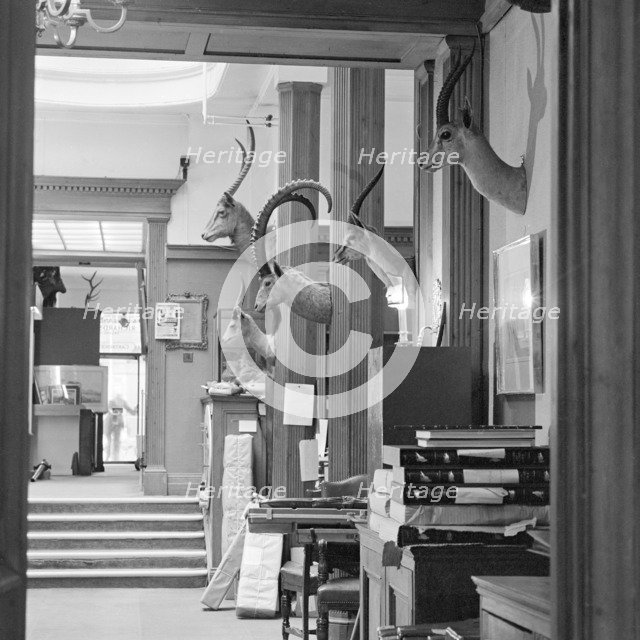 Holland and Holland, gunmakers, 13 Bruton Street, Mayfair, London, June 1980. Artist: John Gay