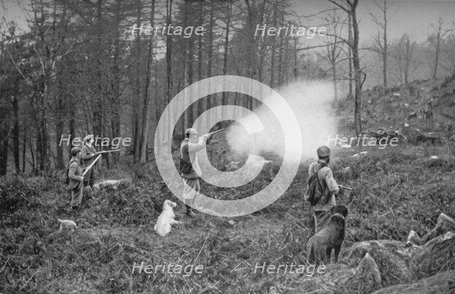 'In The Coverts', c1902, (1903). Artist: Charles Reid.