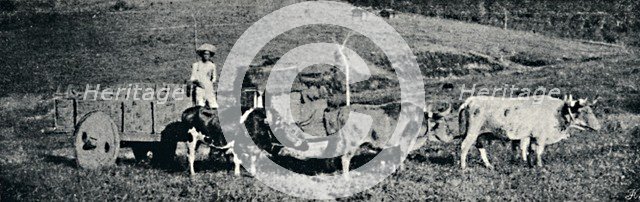 'Carro de boi', 1895. Artist: Paulo Sack.