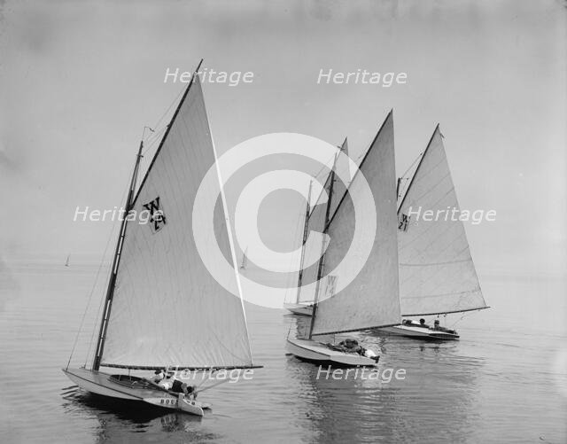 Bouncer, Spunk, Lobster, and Kazaza, 1899 July 22. Creator: John S Johnston.