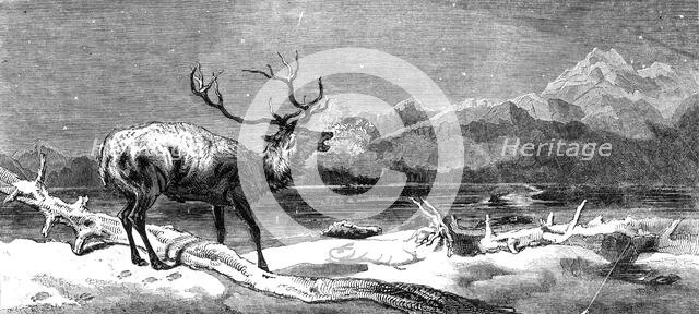 "Coming Events Cast Their Shadows Before Them", painted by E. Landseer, R.A., 1844. Creator: Unknown.