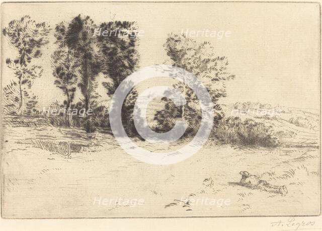 Meadow in Sunshine (Le pre ensoleille). Creator: Alphonse Legros.