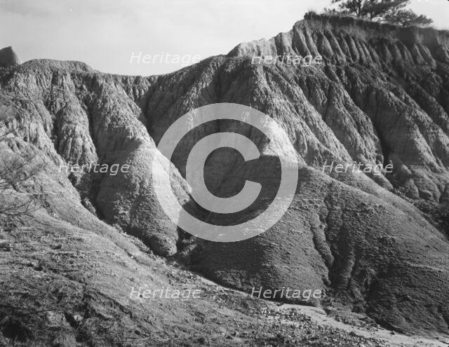 Erosion near Jackson, Mississippi, 1936. Creator: Walker Evans.