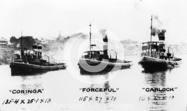 Tugboats: "Coringa", "Forceful", "Carlock", c1910s. Creator: Unknown.
