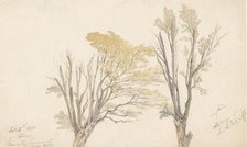 Two tree studies, 1850. Creator: Edwin Aaron Penley.