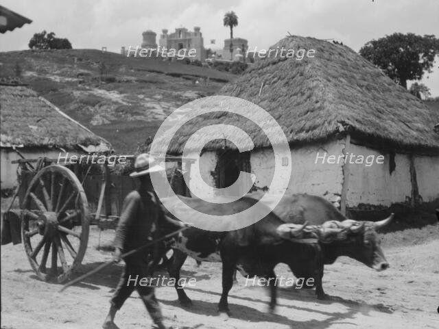 Travel views of Cuba and Guatemala, between 1899 and 1926. Creator: Arnold Genthe.