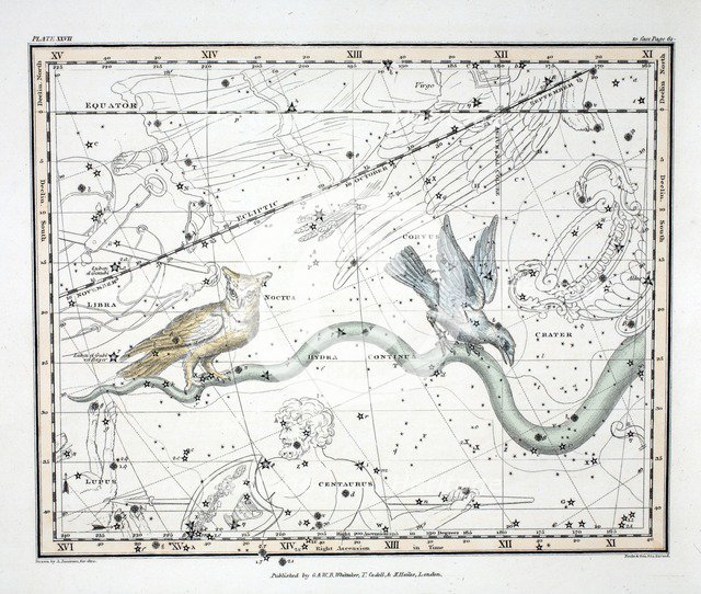 The Constellations (Plate XXVII) Hydra Continua, Crater, Covus, Centaurus et Lupus, 1822.