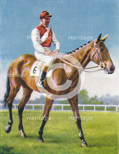 Royal Danieli, Jockey: D. Moore', 1939. Artist: Unknown.