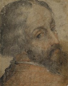 Portrait of Bearded Man (Lodovico Ariosto?), 1550/59. Creator: Unknown.