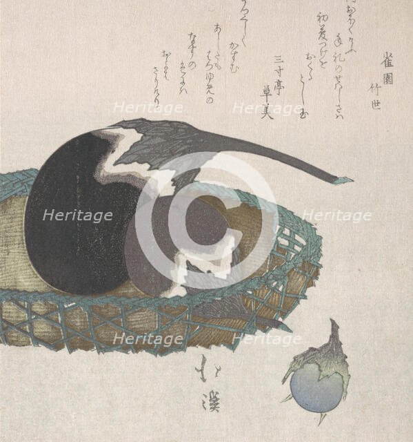 Eggplants in a Basket, 19th century. Creator: Totoya Hokkei.