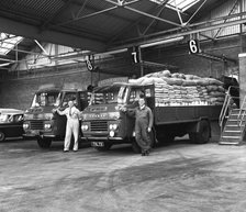 Commer Lorries at Spillers Foods Ltd, Gainsborough, Lincolnshire, 1962.  Artist: Michael Walters