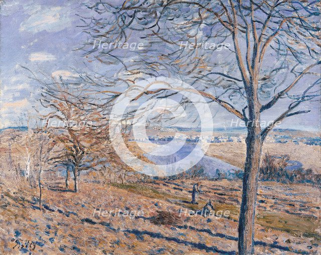 Banks of the Loing - Autumn Effect, 1881. Artist: Sisley, Alfred (1839-1899)