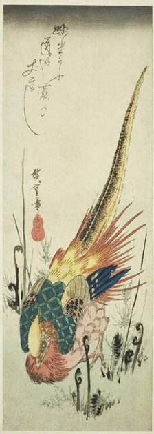 Golden pheasant and bracken ferns, c. 1830s. Creator: Ando Hiroshige.