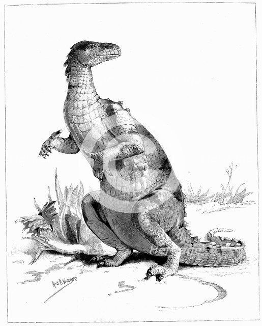 Iguanodon, 1895. Artist: Unknown