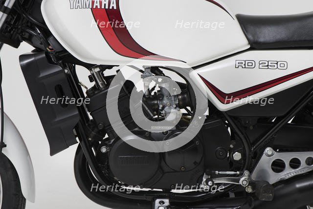 1981 Yamaha RD250 LC. Creator: Unknown.