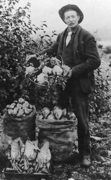 Vegetables, between c1900 and c1930. Creator: Unknown.