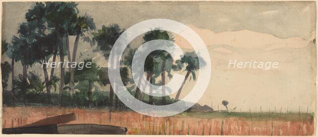 Palm Trees, Red, 1890. Creator: Winslow Homer.