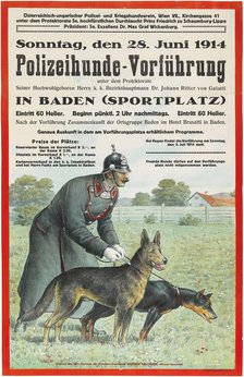 Police Dog Demonstration in Baden, 1914. Creator: Anonymous.